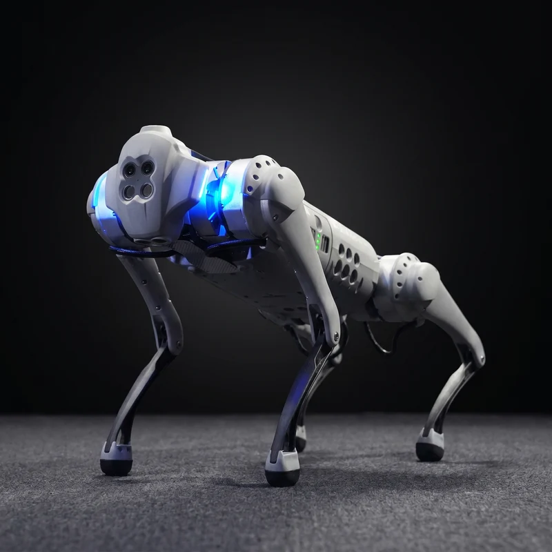 Robot Unitree Go1