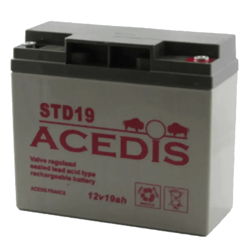 Batterie Plomb AGM ACEDIS STD19 12V 18.5Ah – VRLA Étanche Sans Entretien