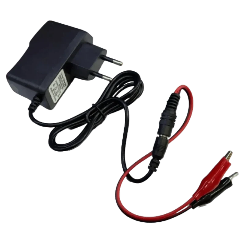 Chargeur batterie plomb 6V 1A sortie 7.2V jack + pinces