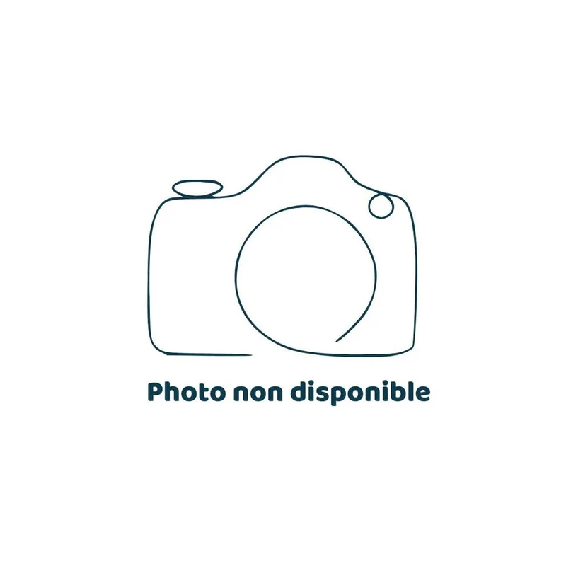 Pack connect Frisquet 2 - contrôle à distance pour chaudières VISIO