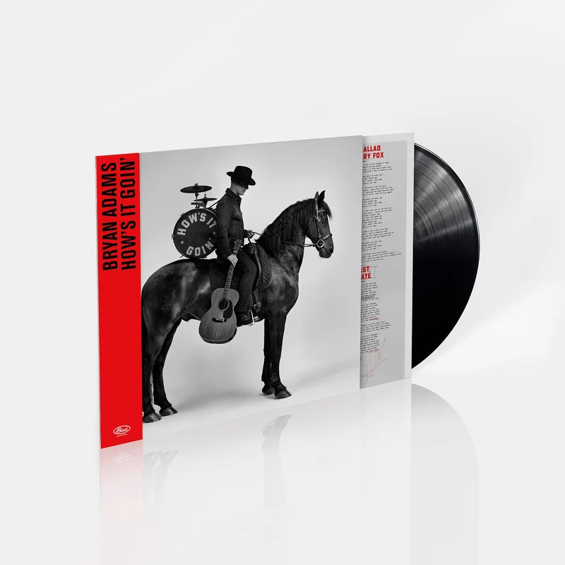 How’s It Goin’ (Vinyl)
