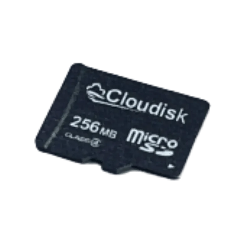 Carte mémoire Micro SD 256Mb