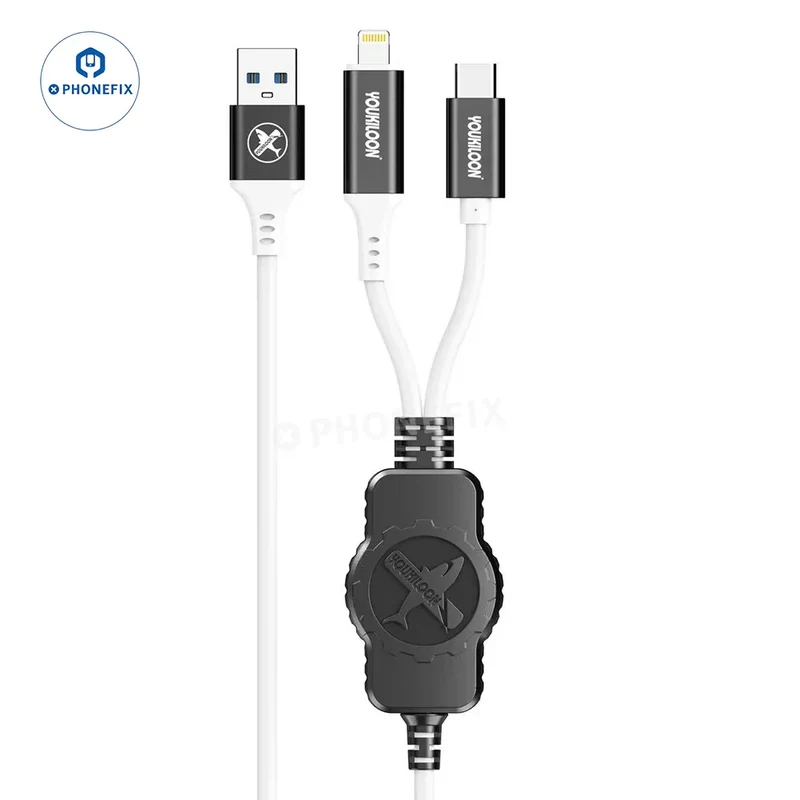 Câble de récupération 2 en 2 YOU-IR1 Restore Easy Lightning Type-C pour iPhone