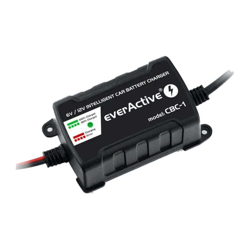 Chargeur intelligent pour batterie de véhicules 6V et 12V