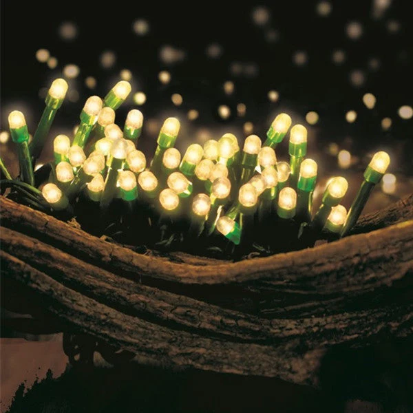 Lexi Lighting 80 Warm White LED Light Chain with Green Cable