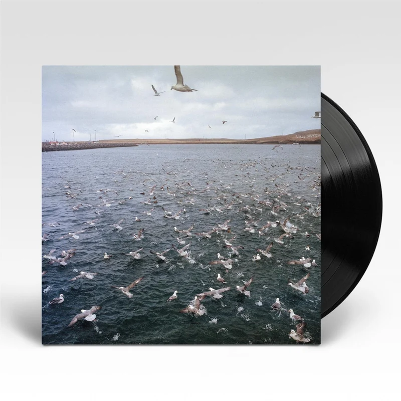 Rest (Vinyl)