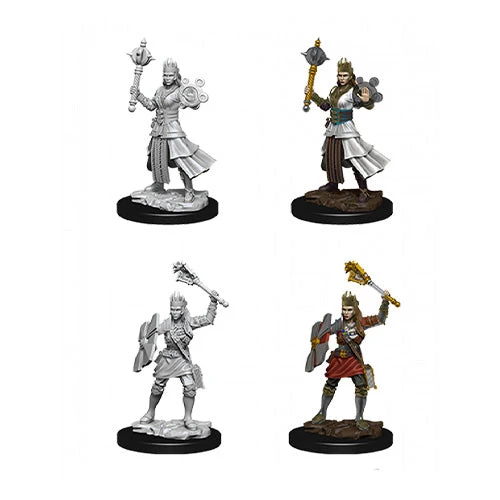 Wizkids D&D Nolzurs Marvelous Unpainted Miniatures Female Human Cleric