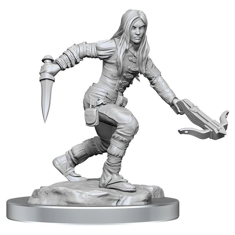Wizkids D&D Nolzurs Marvelous Unpainted Miniatures Half-Elf Rogue Female