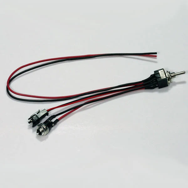 2-PIN JST (F) CONNECTOR W/DPDT SWITCH & 2.1MM DC PANEL JACK